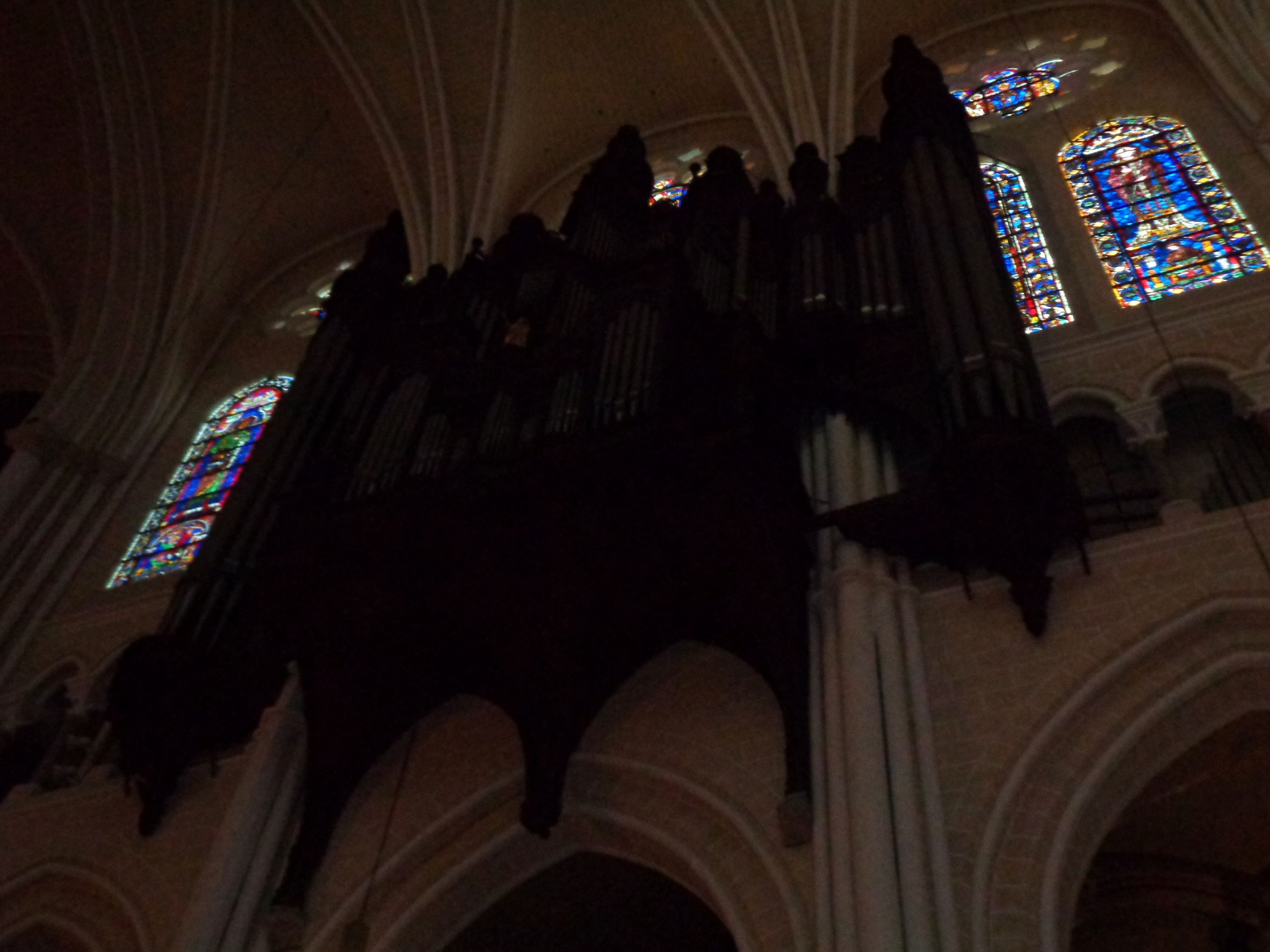 Chartres Cat ND organ sep21